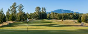 image of putting green with trees and hillside in the background
